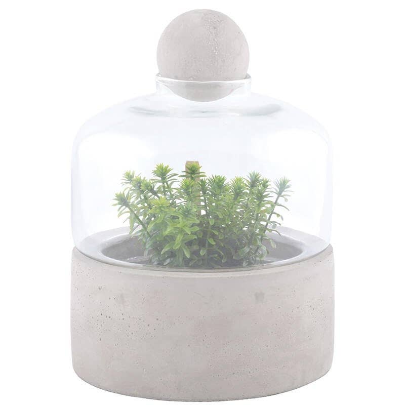 Glass Bottle Terrarium w/Concrete Base - Small